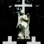 photo taken on the Hauptfriedhof (main cemetery) in Frankfurt, Germany