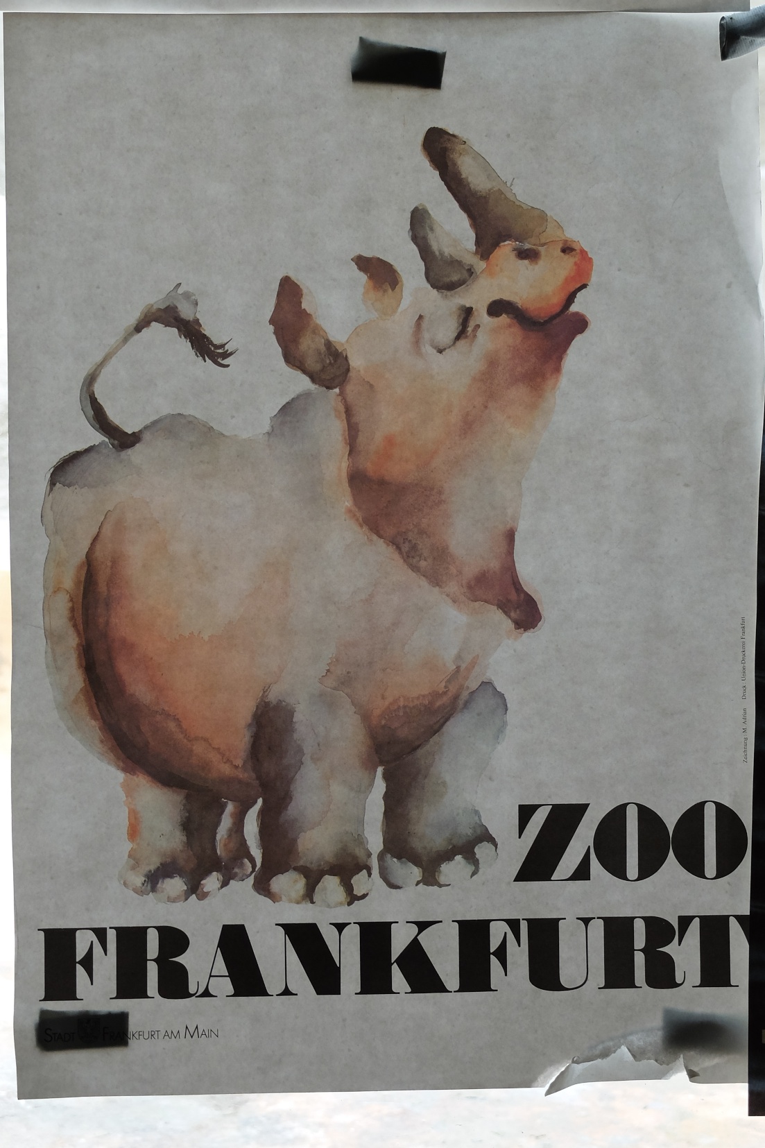 Zoo Frankfurt July 5th, 2013